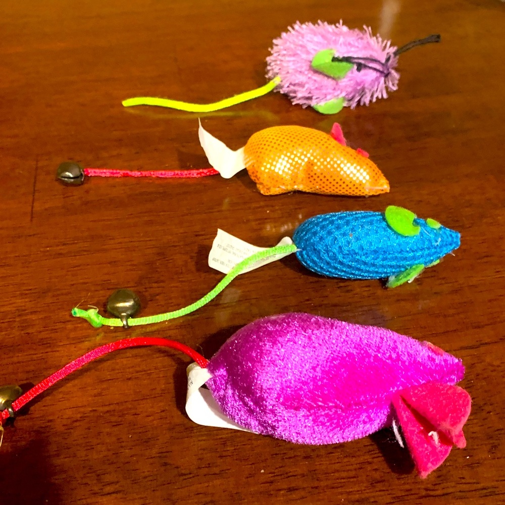 Colorful Bird Toy Set 4 with catnip inside, must have for cats toys!